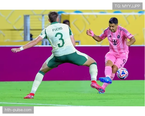 帕尔梅拉斯球队最新情况与近期表现